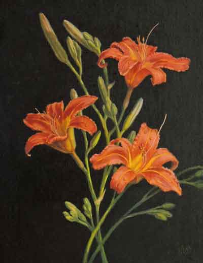 Nuss_Day_Lilies_14x11_oil_on_panel_1900.jpg