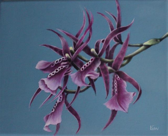 Williams_Spider_Orchid_8x10_oil.jpg