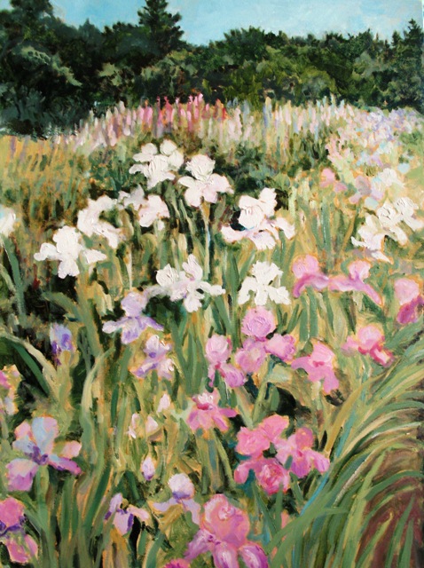 irispastel40x30.jpg