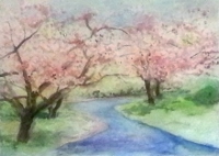 springtime_cherry_blossoms22x28_watercolor.jpg