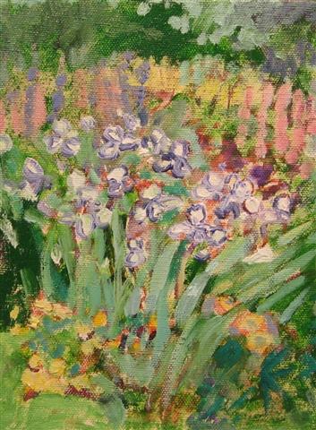 violetborders8x6oiloncanvas.jpg