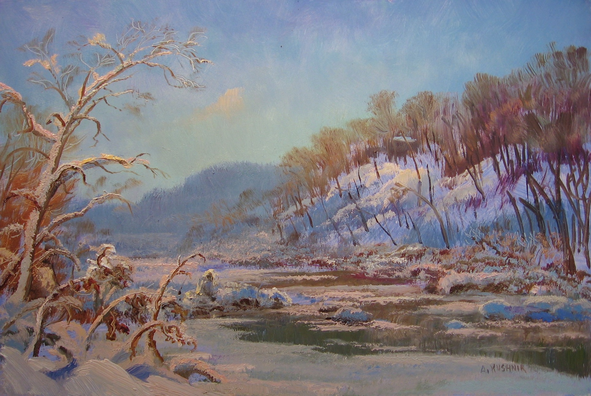 winterpotomacnearbrookmont9x12op.jpg